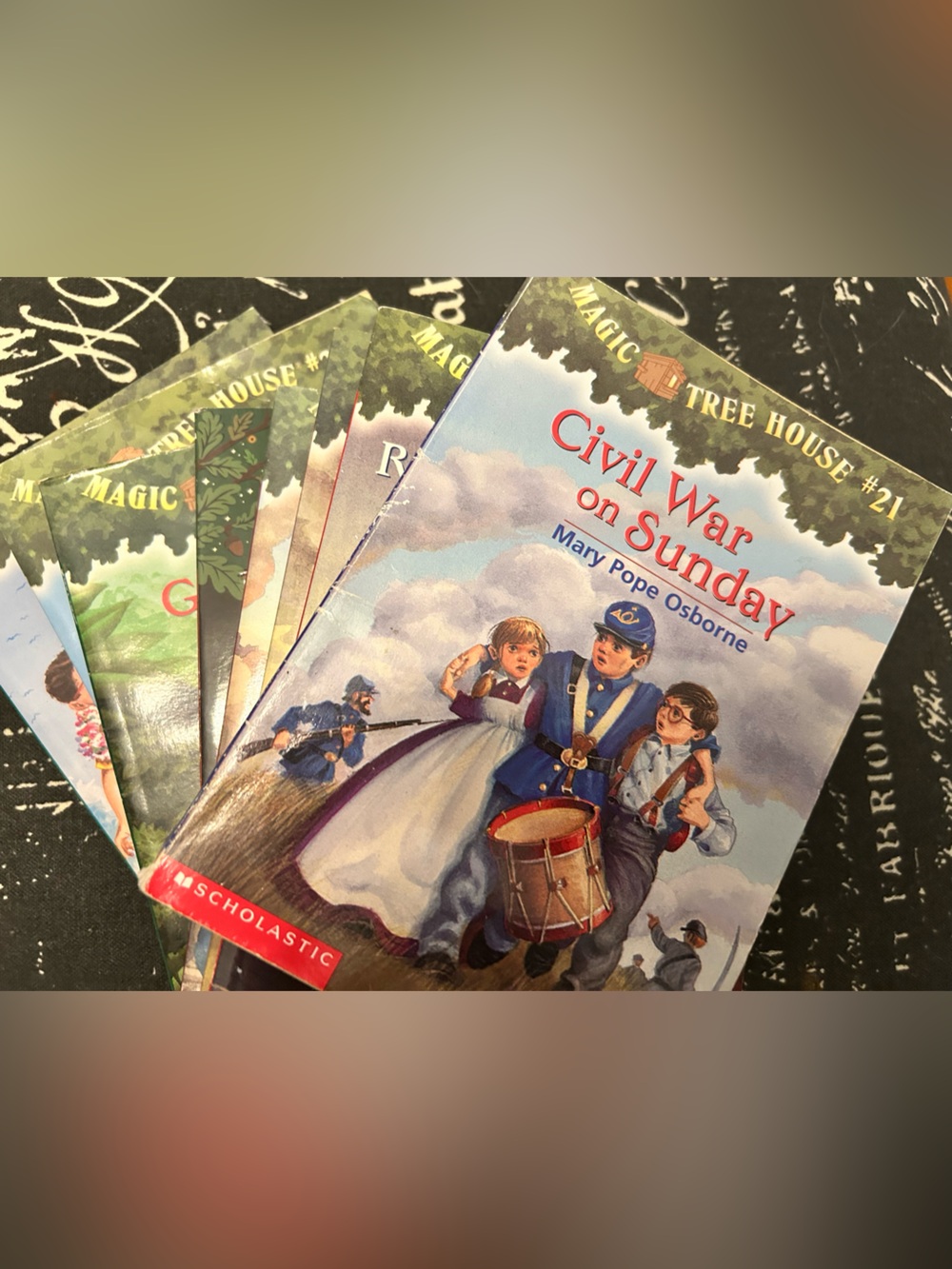 Magic Tree House set of 8 books Mary Pope Osborne #21 - #28